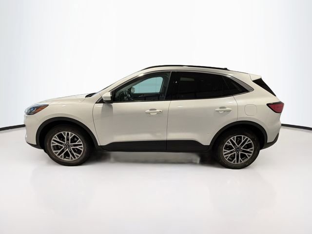 Used 2021 Ford Escape SEL image 4