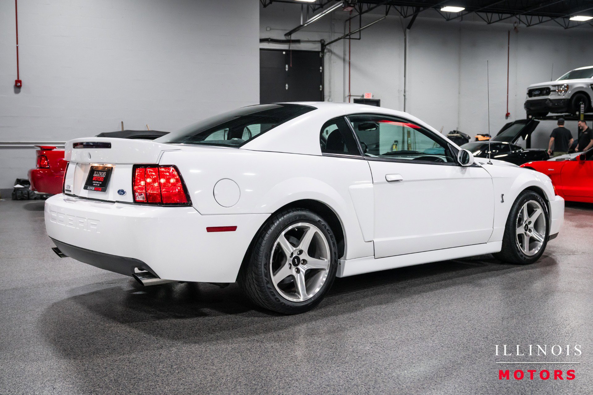 Used 2003 Ford Mustang Cobra image 5