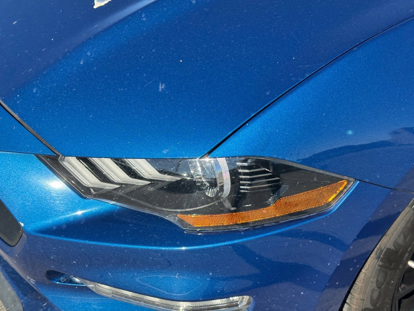 Used 2022 Ford Mustang Premium w/ Equipment Group 201A image 5