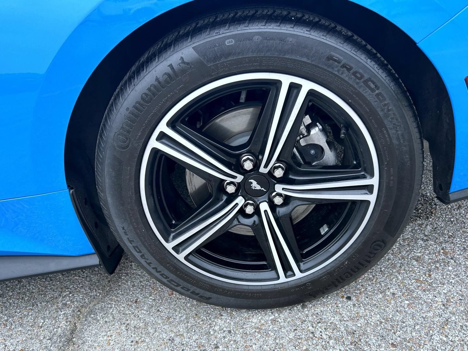 Used 2024 Ford Mustang Premium RWD image 20
