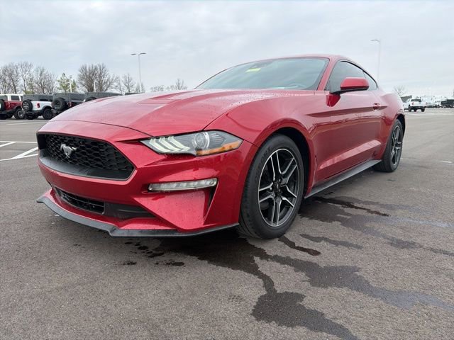 Used 2021 Ford Mustang EcoBoost w/ Equipment Group 101A image 2