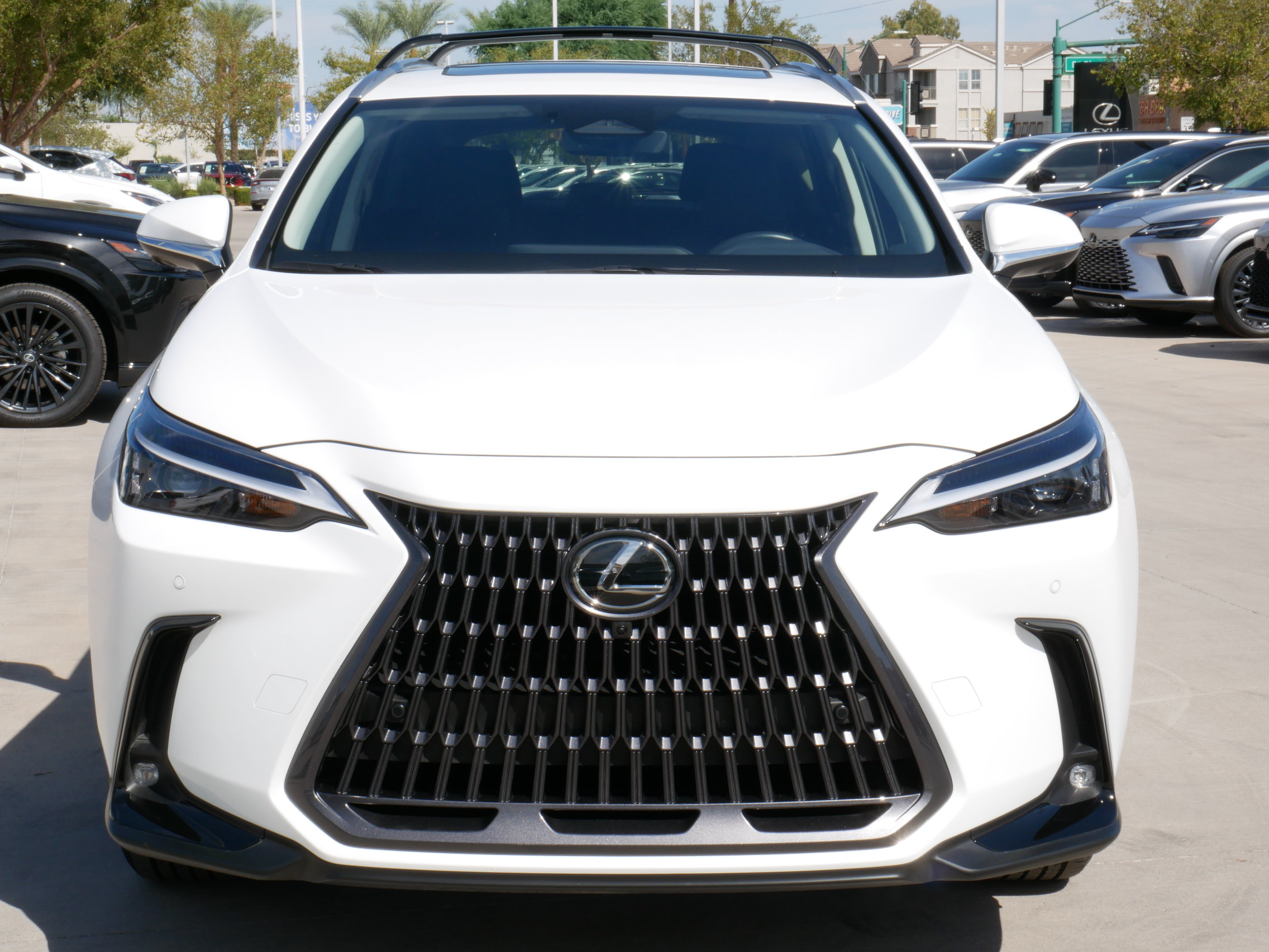 Certified 2026 Lexus NX 350 AWD w/ Accessory Package (2T) image 19