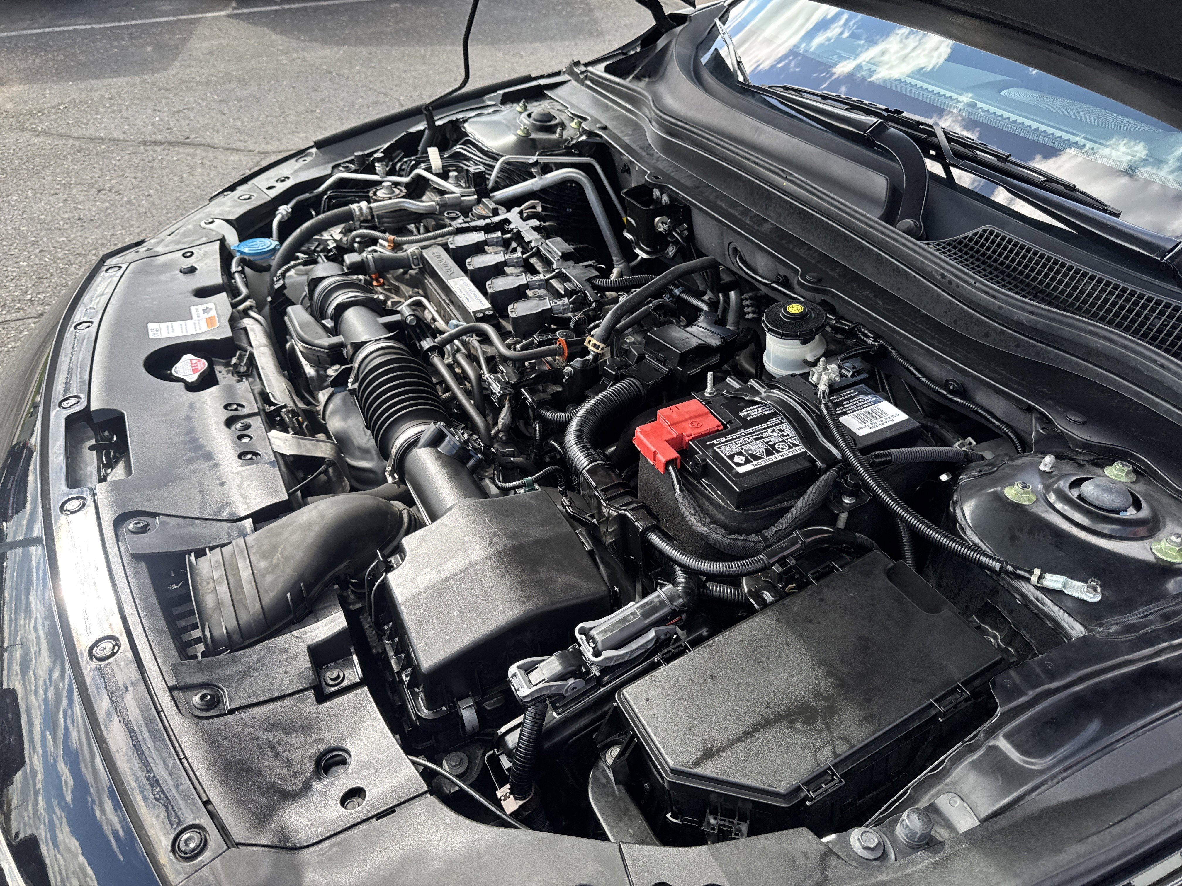 Used 2019 Honda Accord Sport image 12