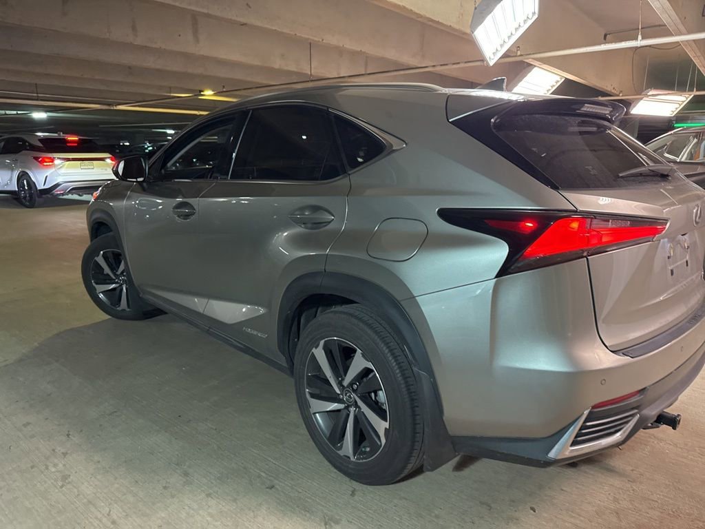 Used 2020 Lexus NX 300h AWD w/ Premium Package image 5