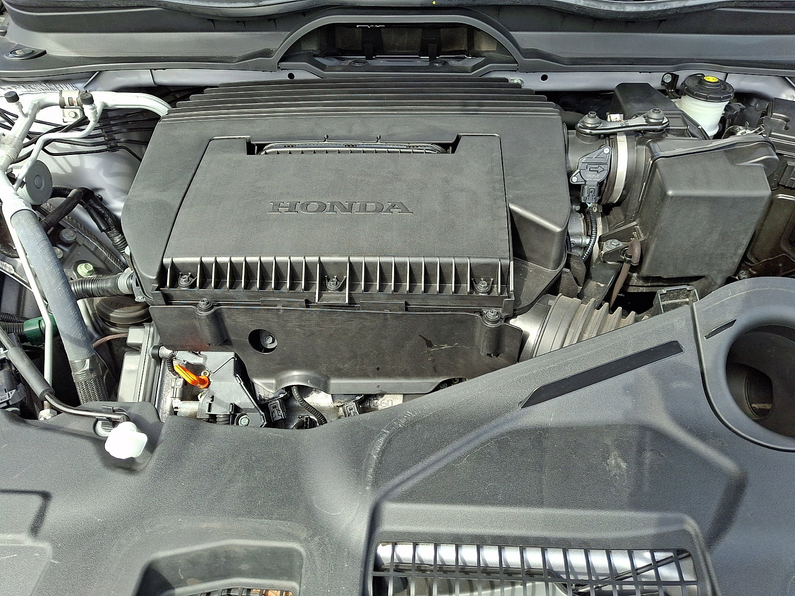 Certified 2024 Honda Pilot TrailSport image 29