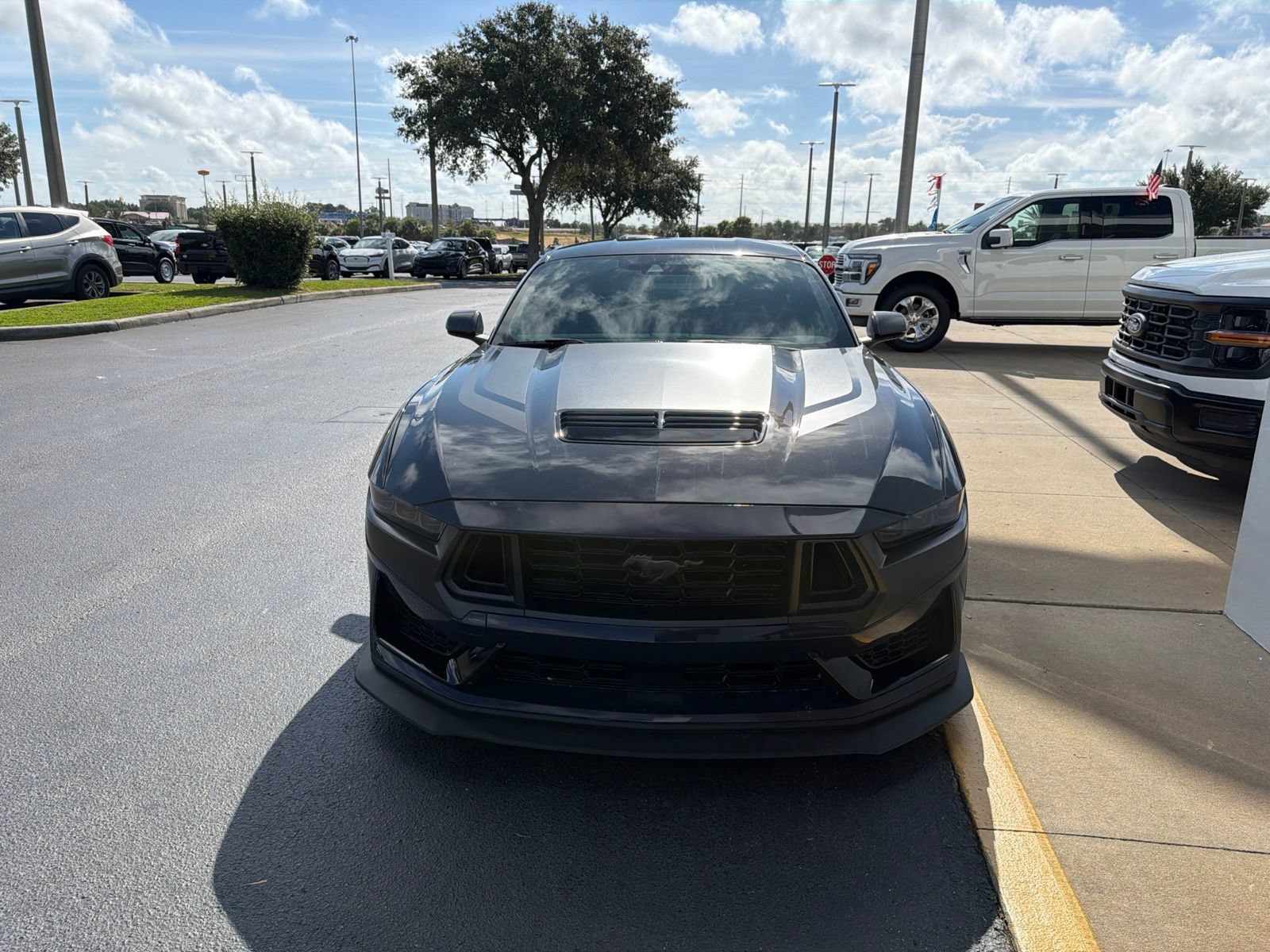 Used 2024 Ford Mustang Dark Horse w/ Dark Horse Handlin Package RWD image 14