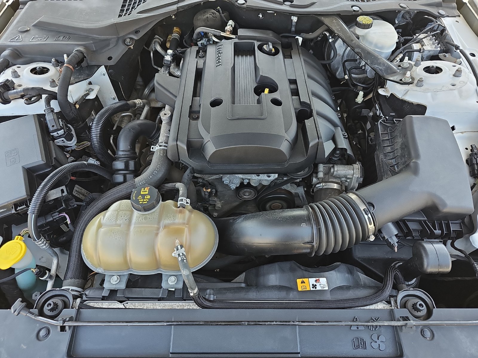 Used 2018 Ford Mustang Premium RWD image 29