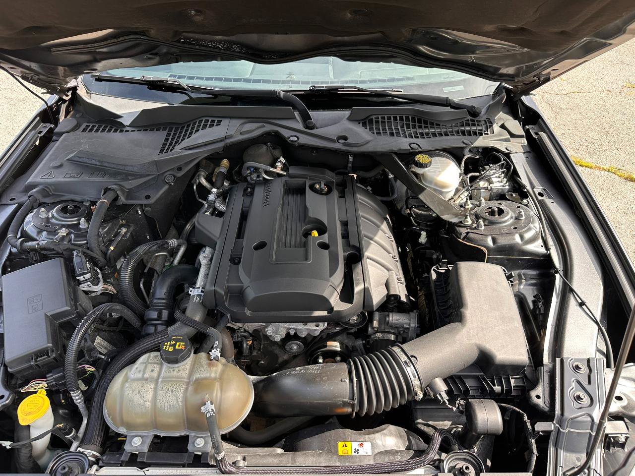 Used 2018 Ford Mustang Premium RWD image 20