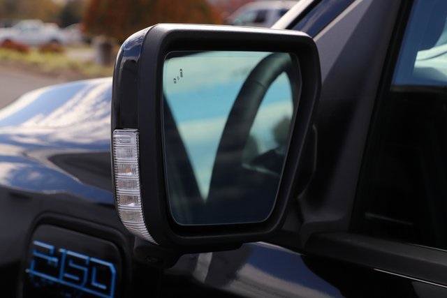 New 2025 Ford F150 Lightning Platinum image 17