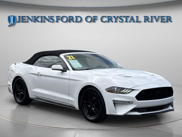 Used 2021 Ford Mustang Premium RWD image 6