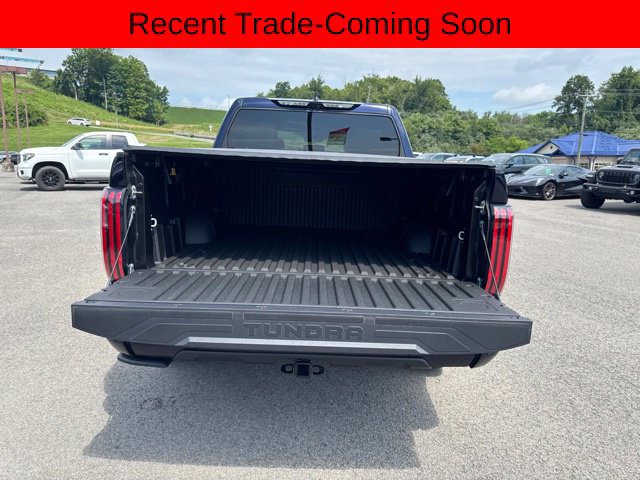 Used 2023 Toyota Tundra Platinum AWD/4WD image 20