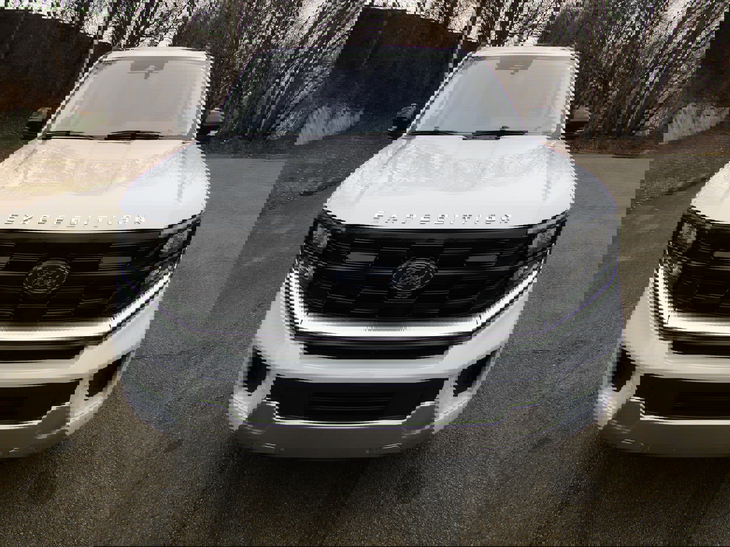 Used 2025 Ford Expedition Platinum w/ Platinum Ultimate Package image 7