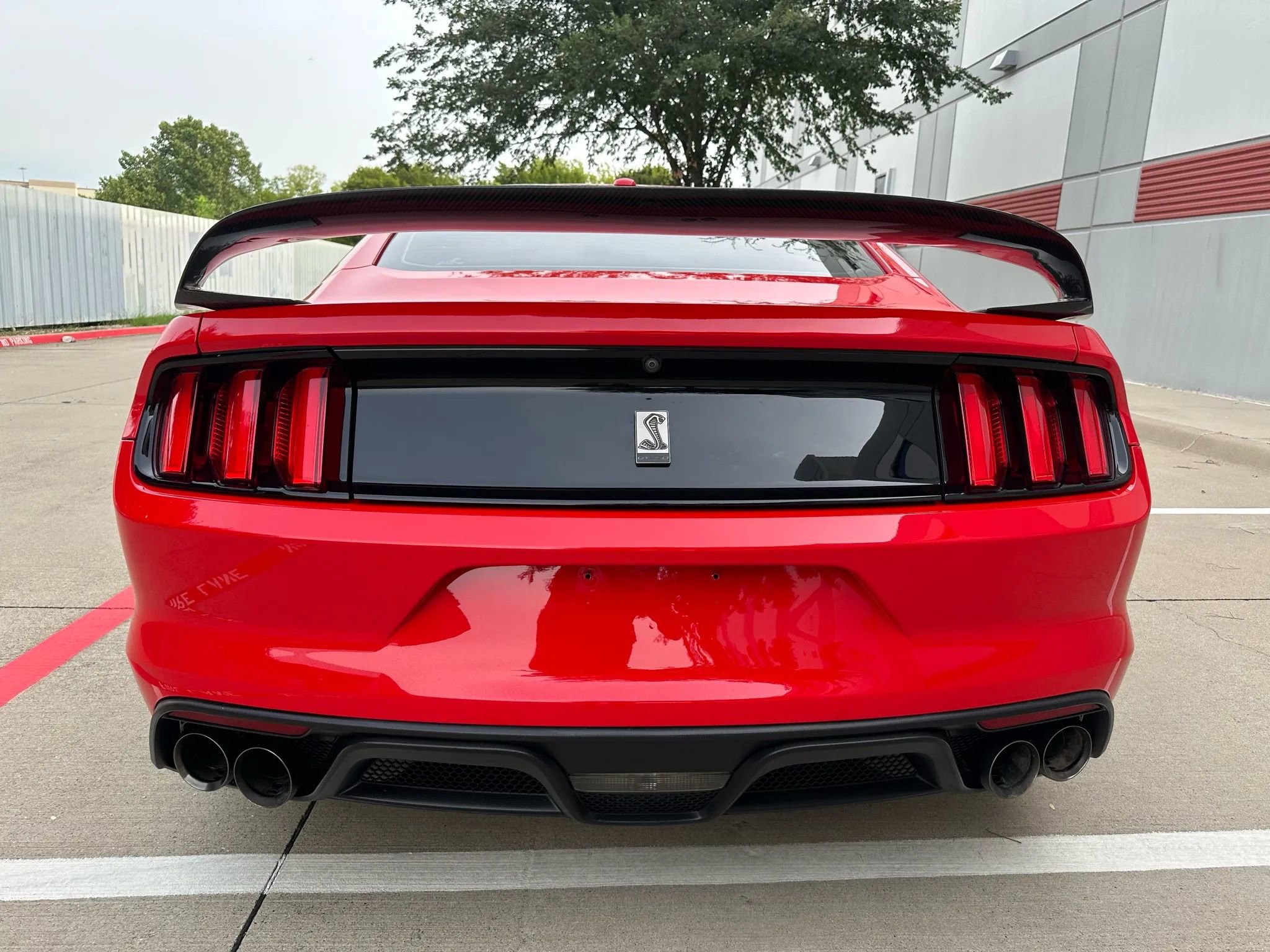 Used 2016 Ford Mustang Shelby GT350 w/ Technology Package image 12