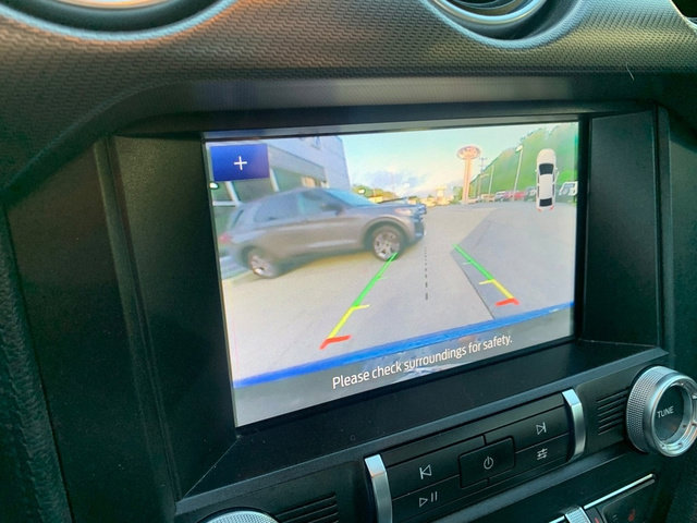 Used 2019 Ford Mustang Premium w/ Equipment Group 201A RWD image 30