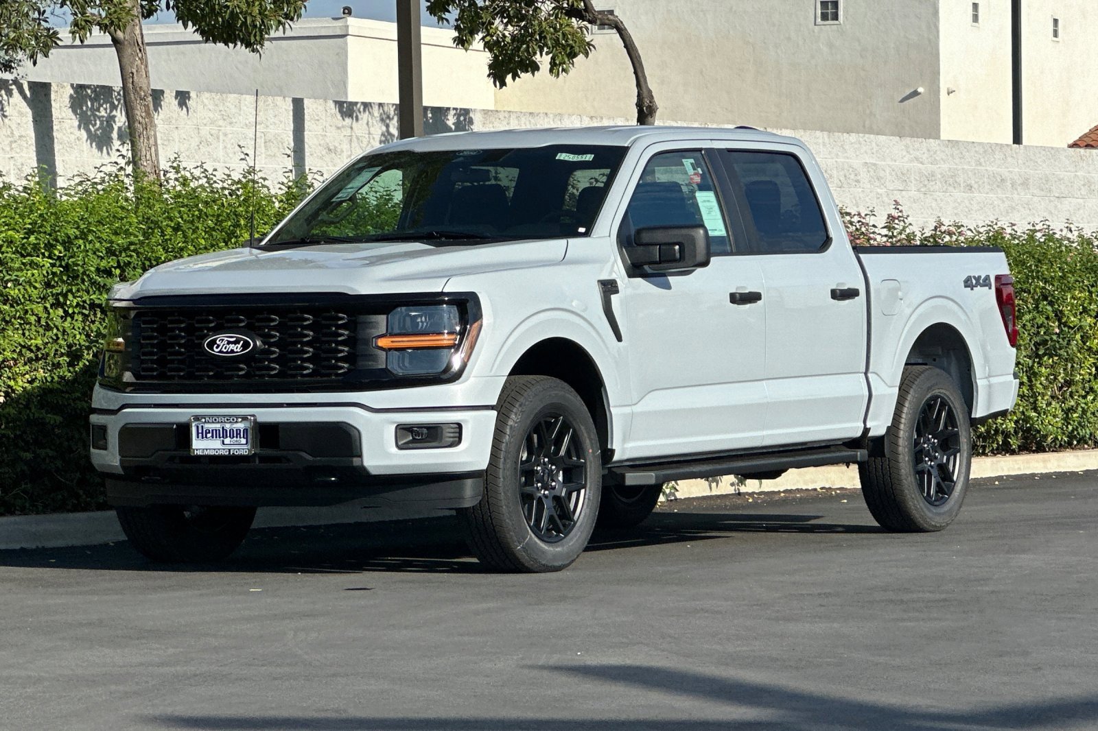 New 2025 Ford F150 STX w/ STX Black Appearance Package image 8