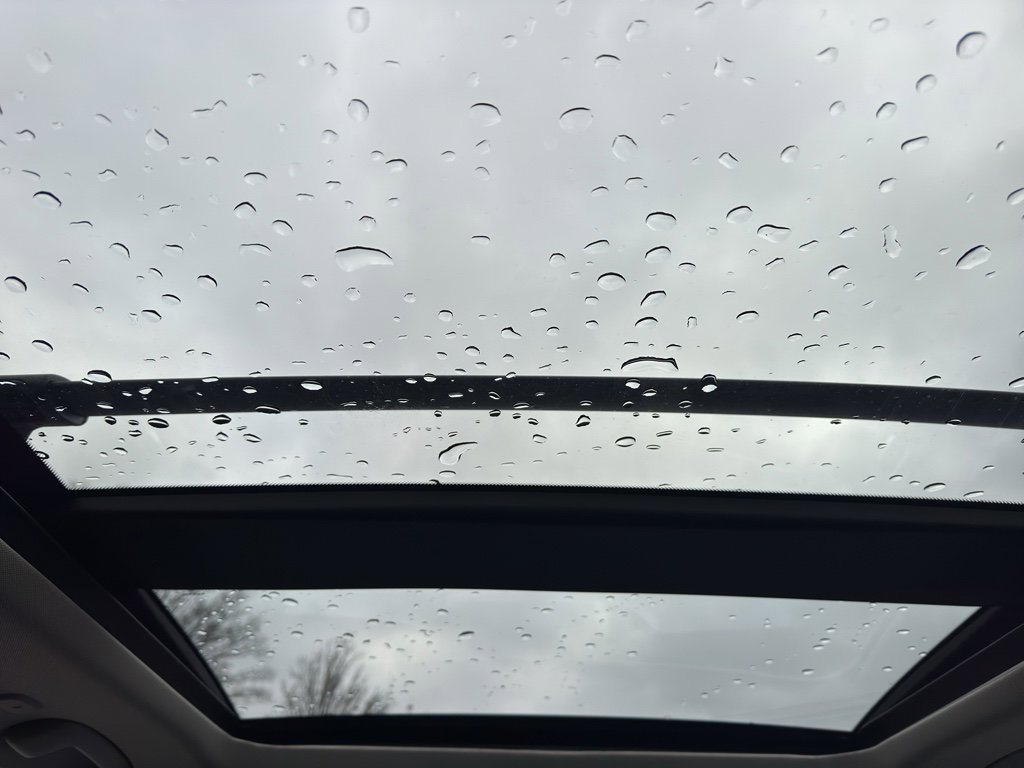 New 2026 Nissan Rogue Platinum w/ Platinum Premium Package image 10