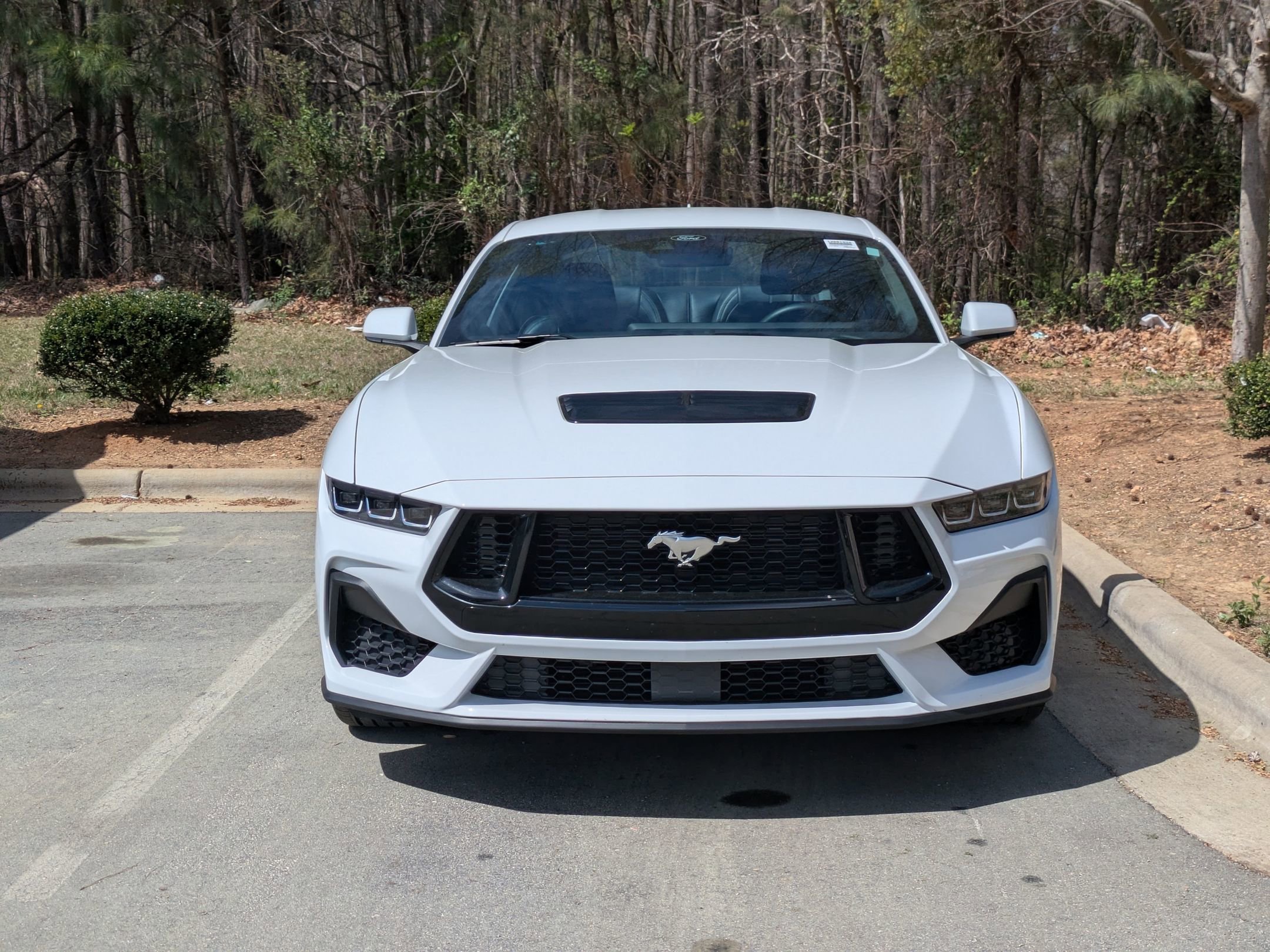 Certified 2025 Ford Mustang GT Premium image 7