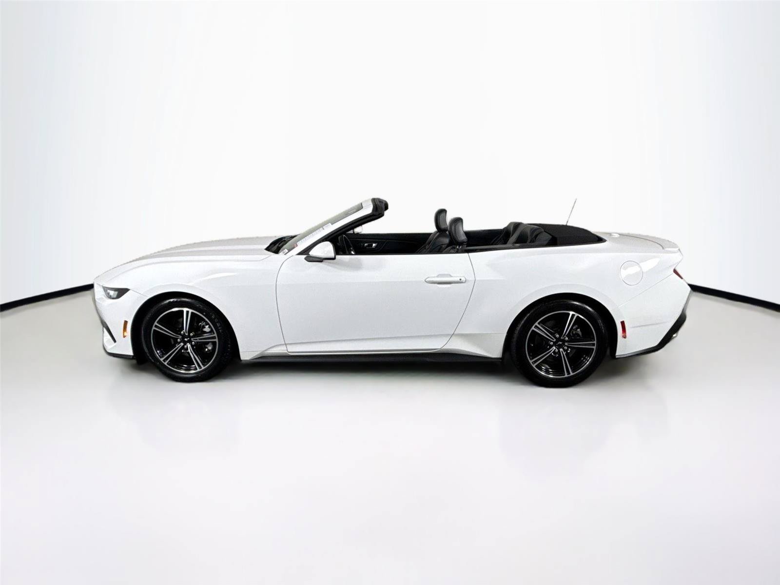 Used 2025 Ford Mustang Premium RWD image 16