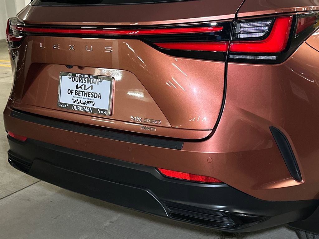 Used 2025 Lexus NX 350 AWD w/ Premium Package image 5
