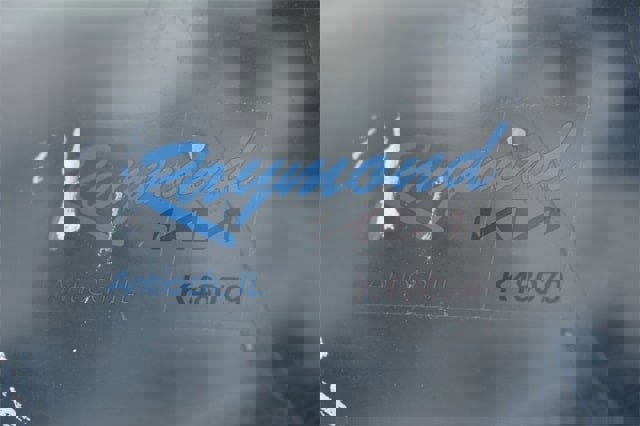 New 2026 Kia Carnival SX Prestige image 40