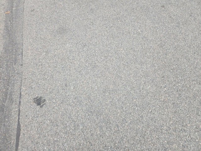 Used 2021 Chevrolet Silverado 1500 W/T w/ WT Fleet Convenience Package image 12