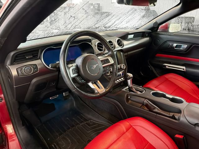 Used 2018 Ford Mustang GT Premium w/ Equipment Group 401A RWD image 8