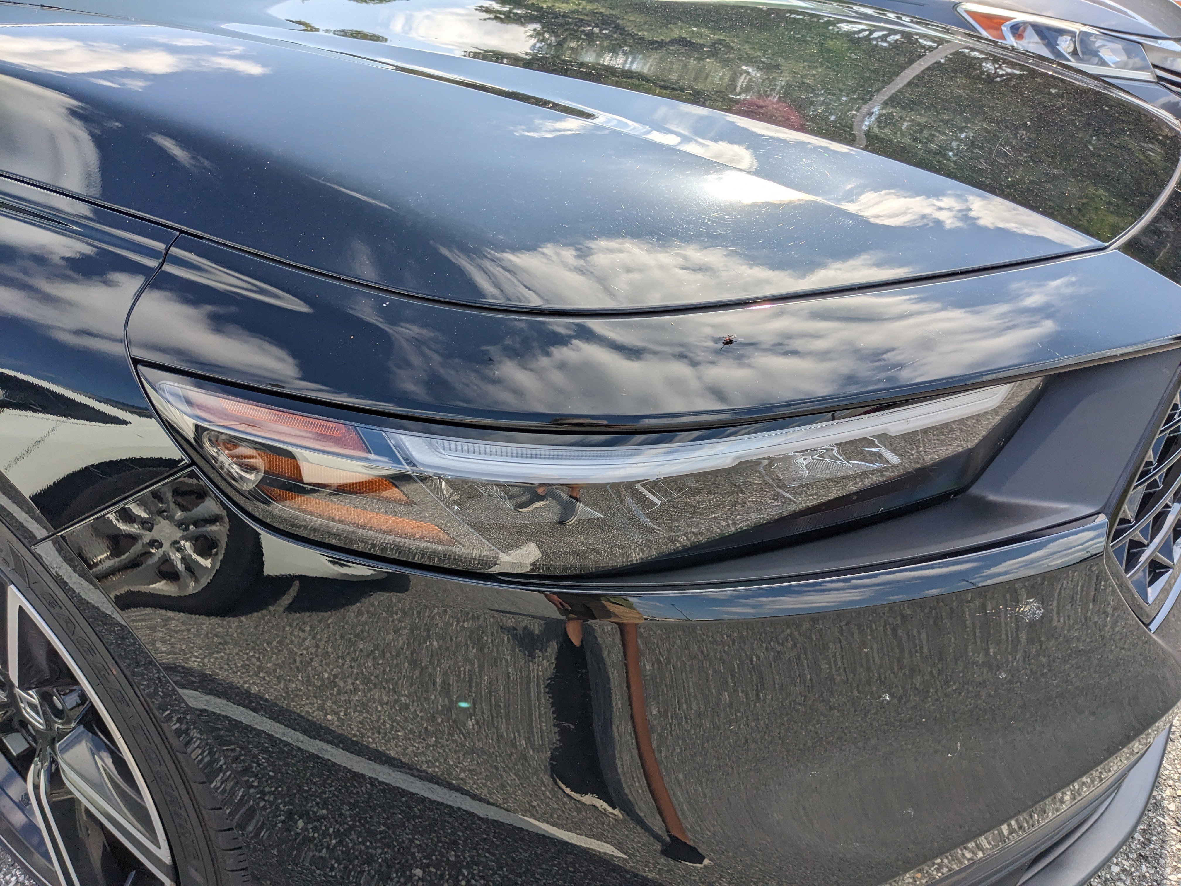 Used 2024 Honda Accord Sport image 16