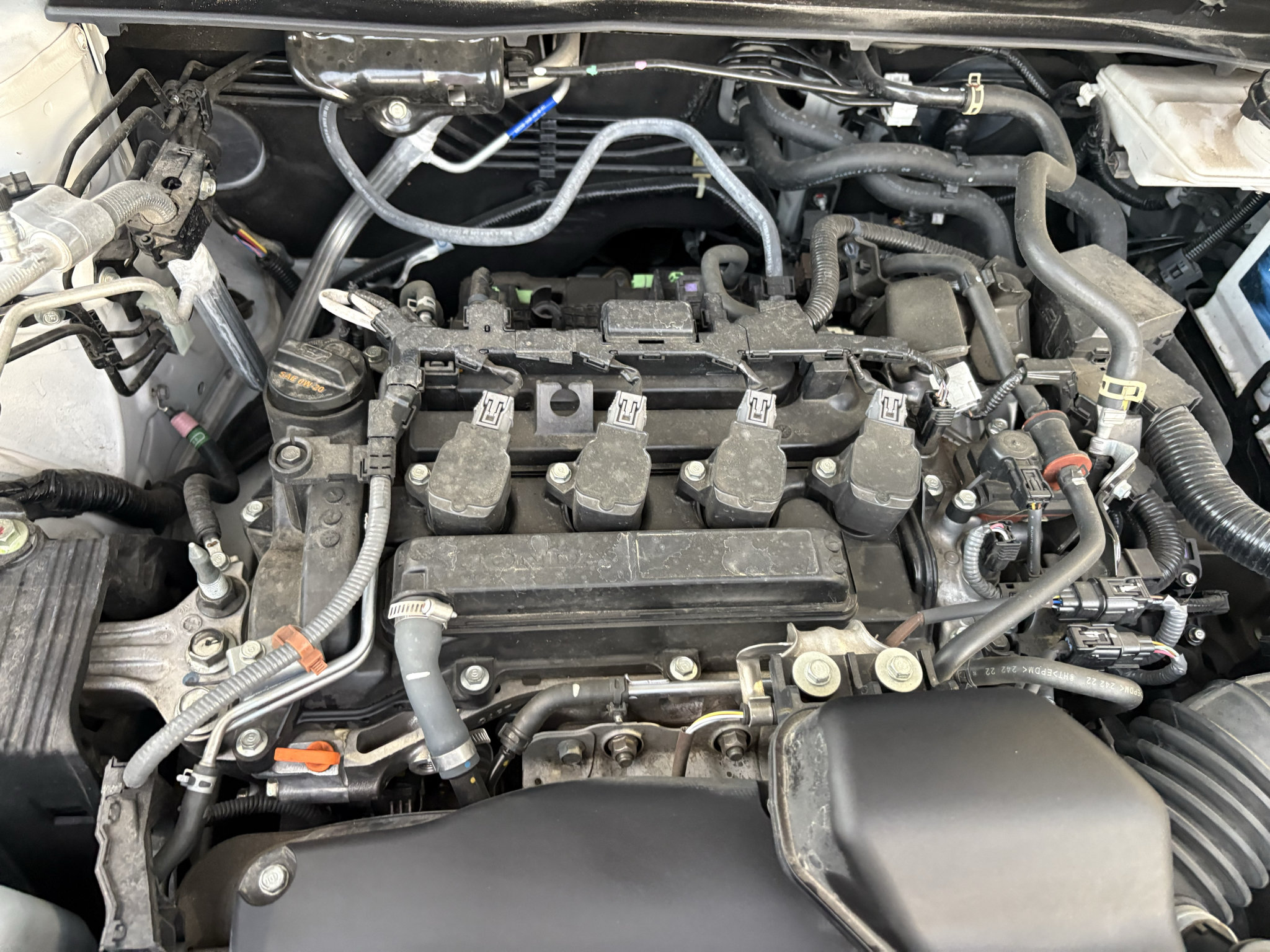 Certified 2025 Honda CR-V EX-L image 27