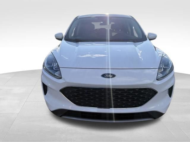 Used 2020 Ford Escape SE image 11