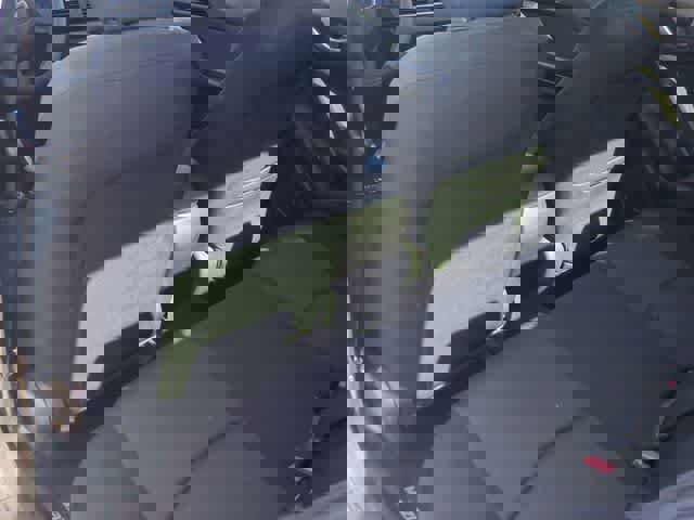 Used 2016 MAZDA MAZDA3 i Sport image 16