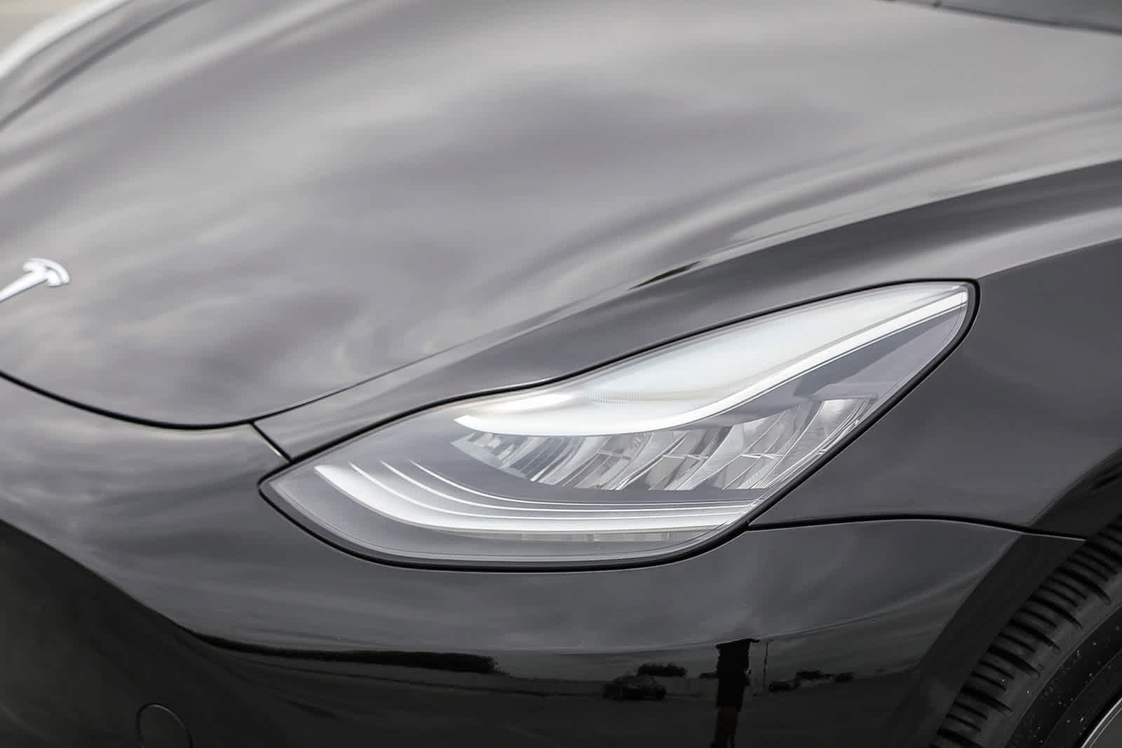 Used 2019 Tesla Model 3 Standard Range Plus RWD image 8