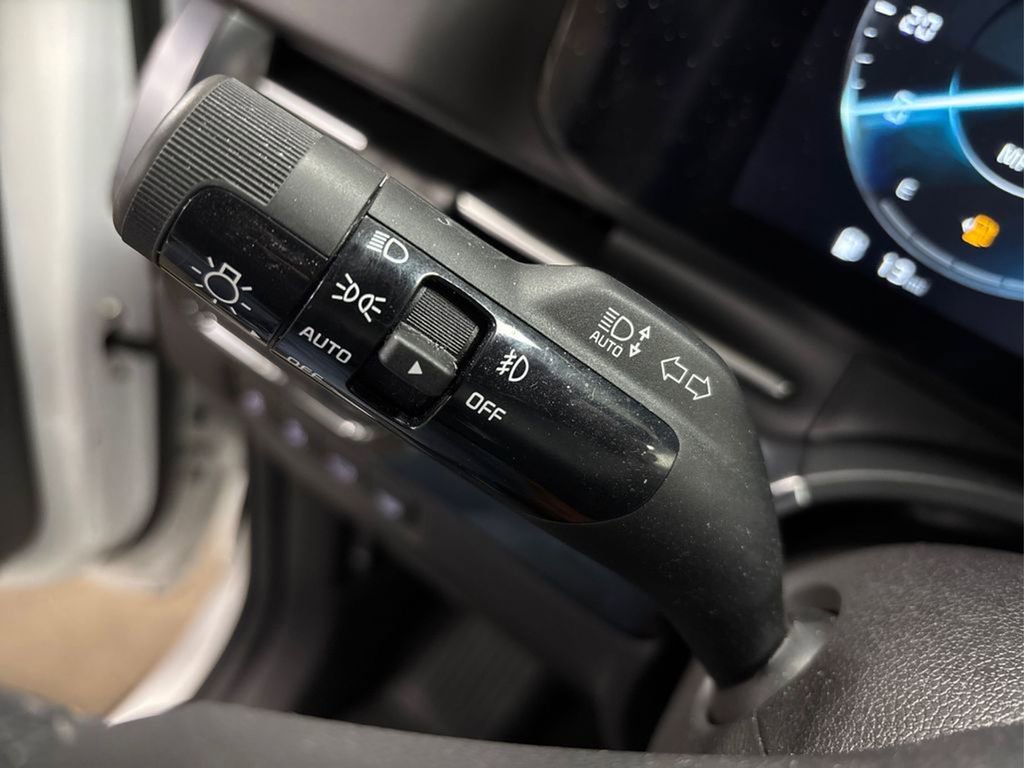 Used 2024 Kia Carnival SX Prestige image 29