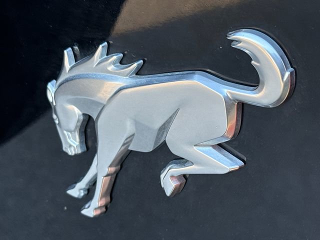 Used 2024 Ford Bronco Big Bend image 10