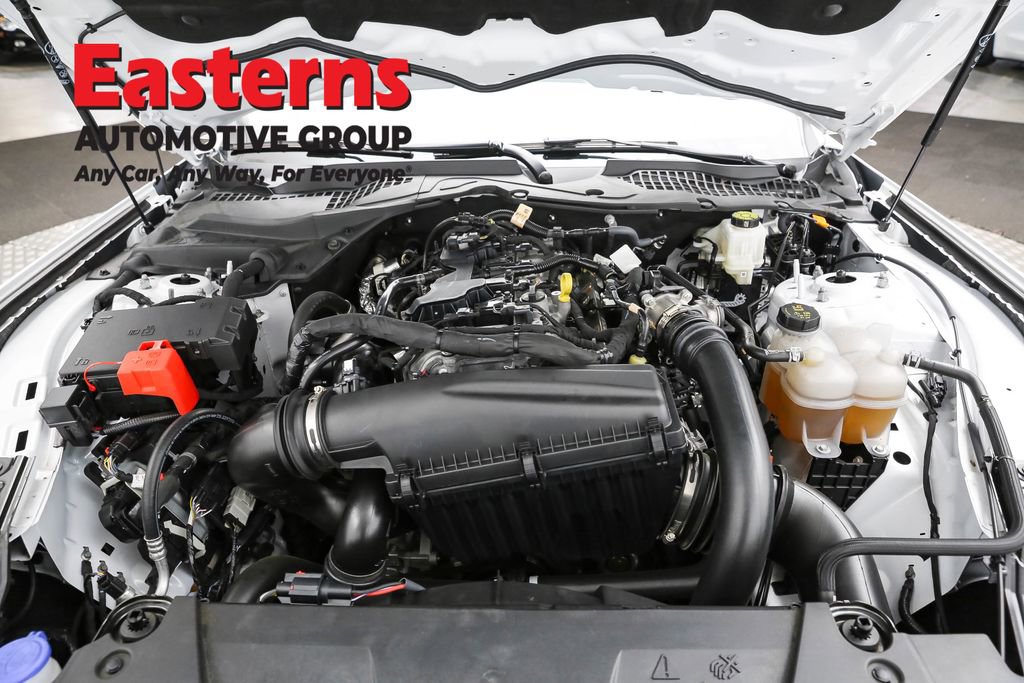 Used 2025 Ford Mustang EcoBoost image 7