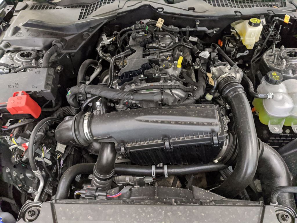 New 2025 Ford Mustang Coupe image 26