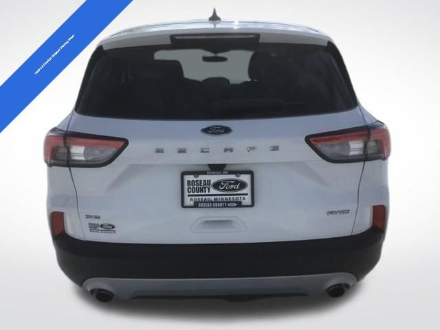 Used 2022 Ford Escape SE w/ Cold Weather Package image 5