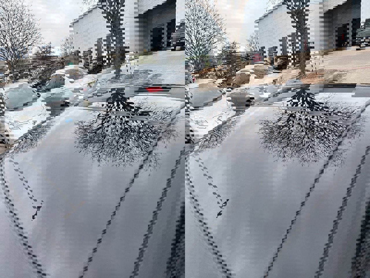 Used 2017 Nissan Maxima Platinum image 5