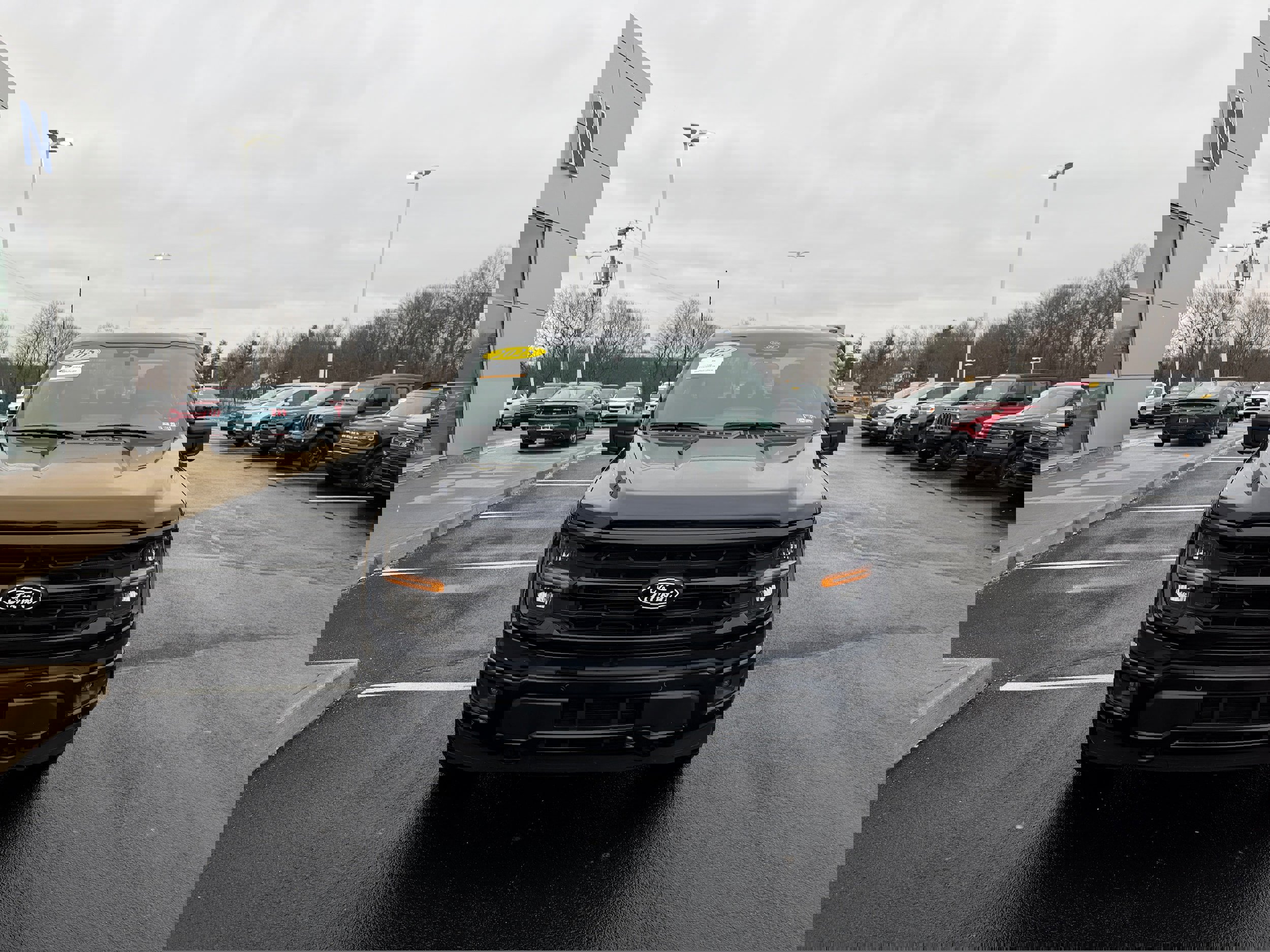 Certified 2025 Ford F150 XLT w/ Equipment Group 302A MID image 3