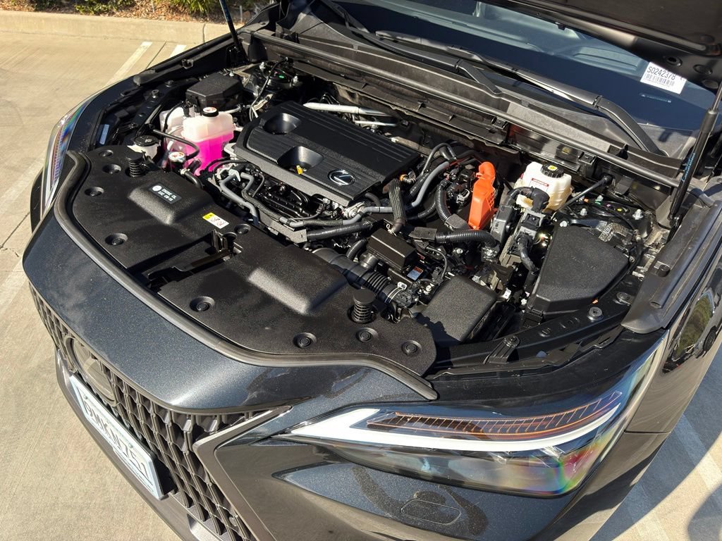 Certified 2025 Lexus NX 350h AWD w/ Cold Area Package image 6