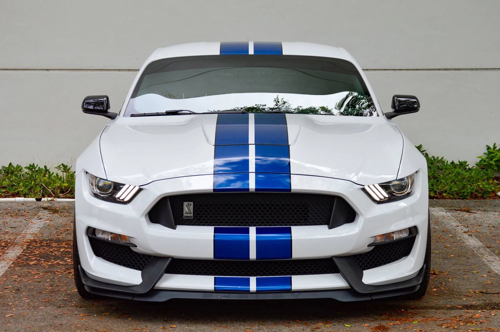 Used 2018 Ford Mustang Shelby GT350 w/ Convenience Package RWD image 24