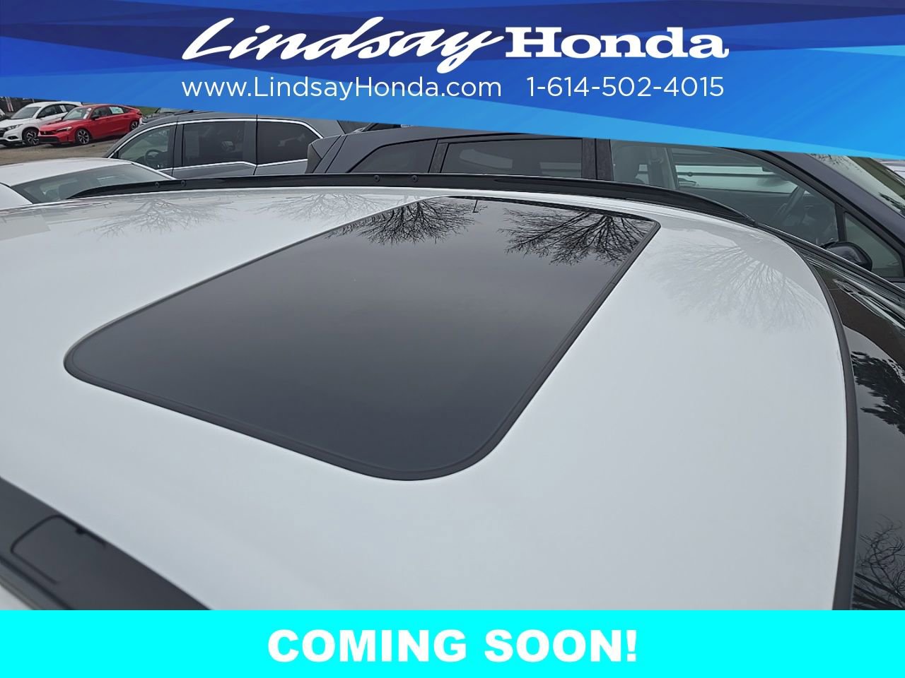 Used 2023 Honda CR-V Sport image 11