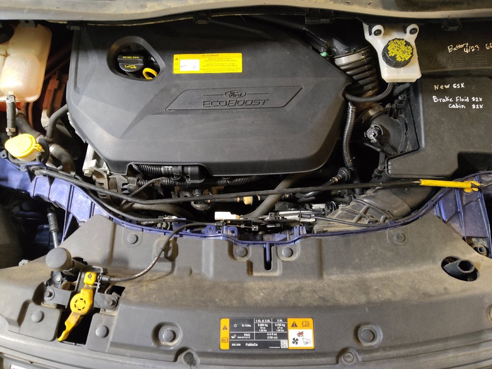 Used 2016 Ford Escape SE FWD image 30