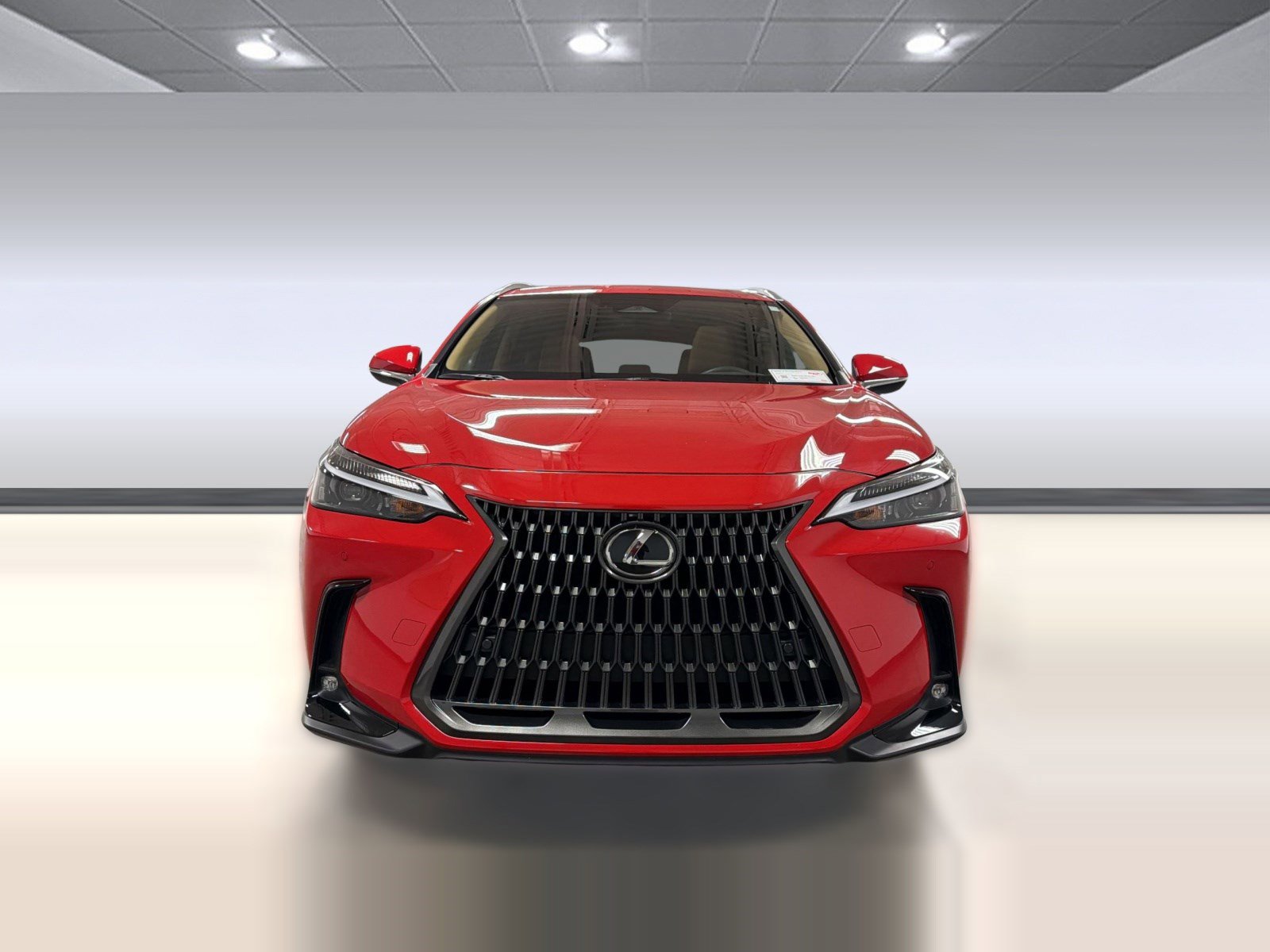 Used 2025 Lexus NX 250 FWD w/ Cold Area Package image 6