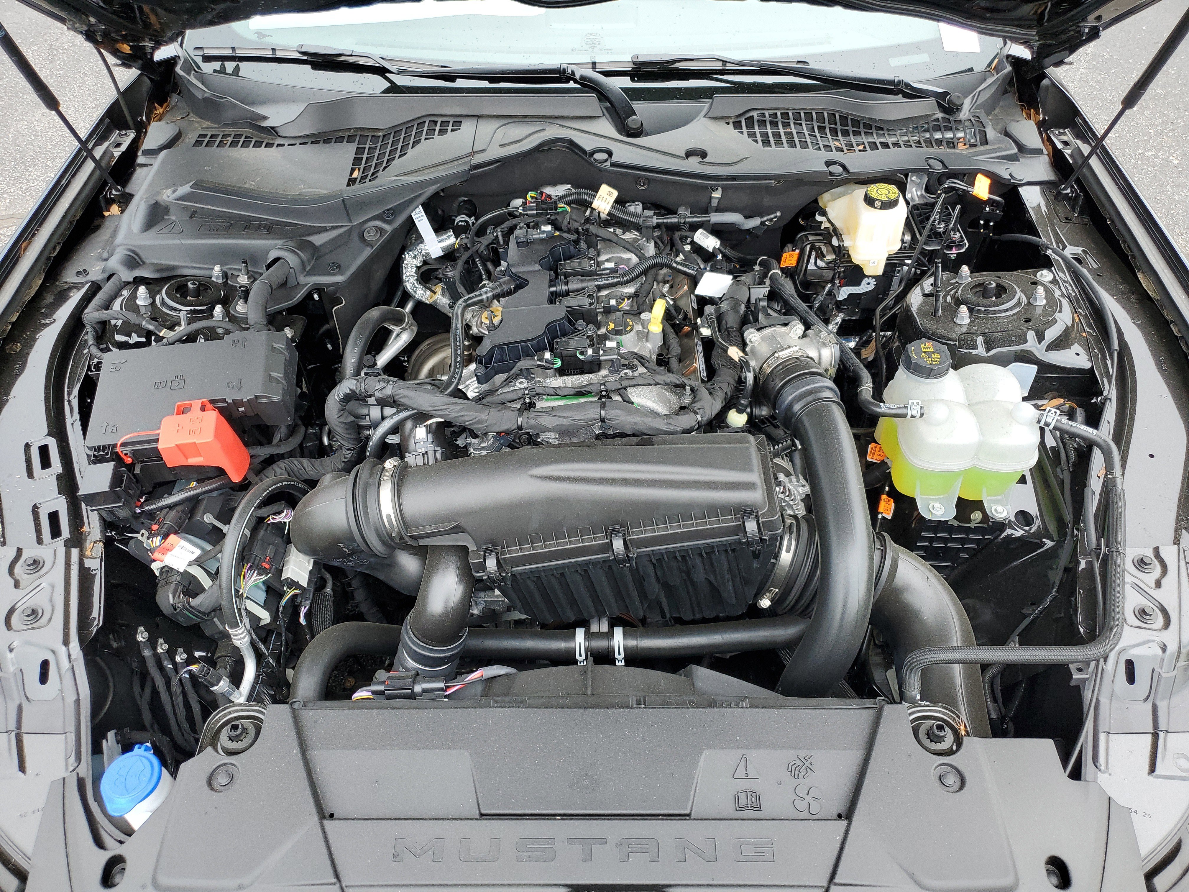 New 2026 Ford Mustang Coupe RWD image 34