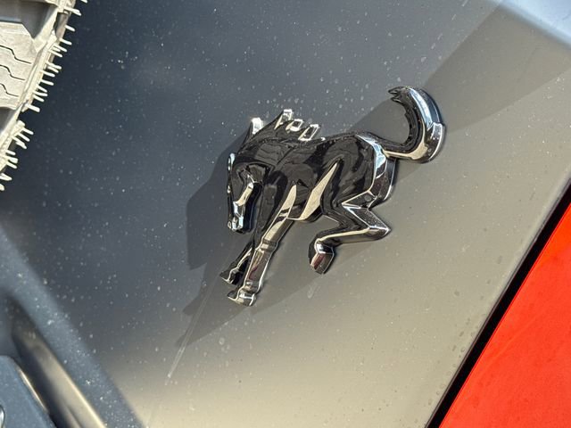 New 2025 Ford Bronco Stroppe Edition image 9