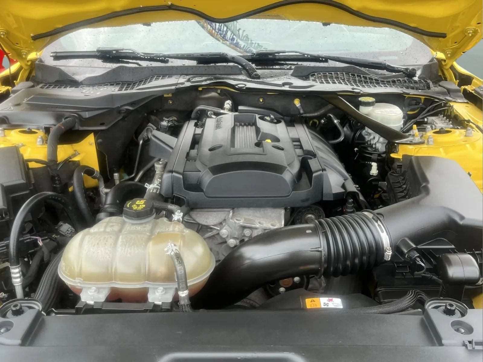 Used 2016 Ford Mustang Premium w/ Equipment Group 201A RWD image 24