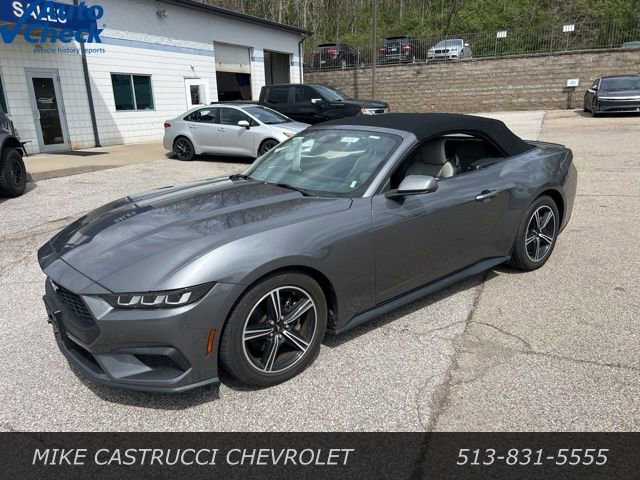 Used 2024 Ford Mustang Premium image 13