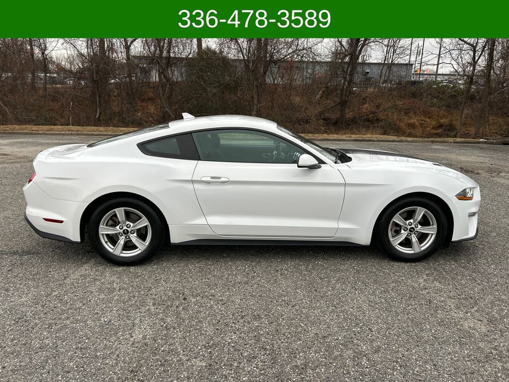 Used 2021 Ford Mustang EcoBoost image 6