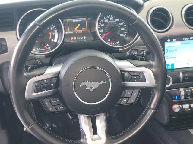 Used 2019 Ford Mustang Premium RWD image 13