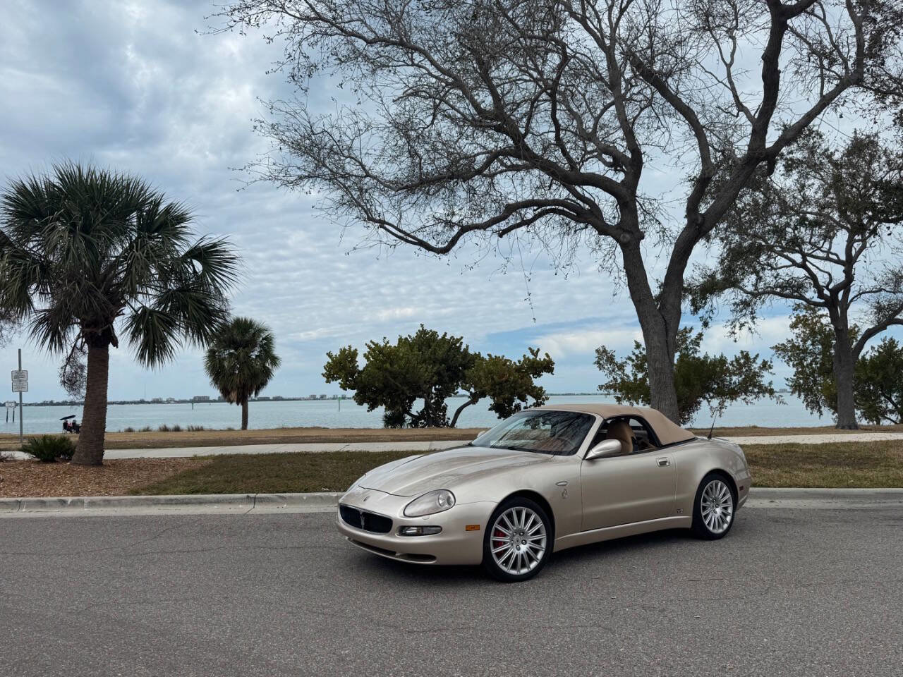 Used 2002 Maserati Spyder Cambiocorsa image 6